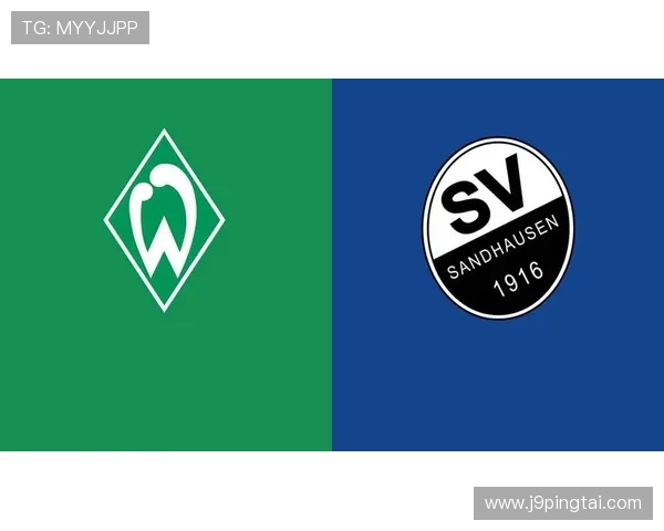 九游娱乐平台赞助不莱梅足球队的合作案例在行业中的借鉴意义与启示